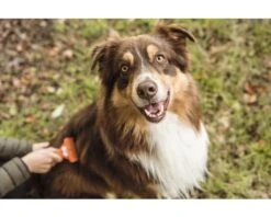 FURMINATOR Hondenkam Lang Haar M -Hond Winkel DV 8 10044368 10 4c RO 20200729051659