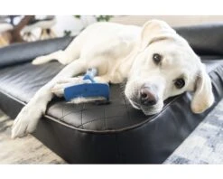 FURMINATOR Honden Vachtkam Kort Haar L -Hond Winkel DV 8 10044369 10 4c RO 20200729051700