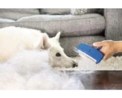 FURMINATOR Hondenkam Deshedding Lang Haar L -Hond Winkel DV 8 10044370 12 4c RO 20200729051700