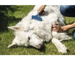 FURMINATOR Hondenkam Deshedding Lang Haar L -Hond Winkel DV 8 10044370 14 4c RO 20200729051700