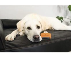 FURMINATOR Kattenkam Deshedding Kort Haar M -Hond Winkel DV 8 10044378 08 4c RO 20200729051700