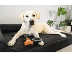 FURMINATOR Kattenkam Deshedding Kort Haar M -Hond Winkel DV 8 10044378 12 4c RO 20200729051700