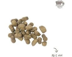 VITALSTYLE Hondenvoer ADULT Hondenbrokken 1,5kg 8 VITALSTYLE Hondenvoer ADULT Hondenbrokken 1,5kg -Hond Winkel DV 8 10075446 04 4c NL 20200218101653