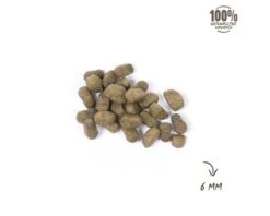 VITALSTYLE Hondenvoer SENIOR Kleine Hondenbrokken 1,5 Kg 8 VITALSTYLE Hondenvoer SENIOR Kleine Hondenbrokken 1,5 Kg -Hond Winkel DV 8 10075454 02 4c NL 20210507094655