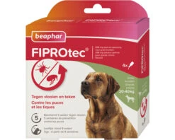 BEAPHAR Fiprotec Anti Teken En Vlooien Hond 20 - 40 Kg, 4 Pipetten
