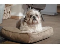 THERMOSWITCH Honden Ligkussen Milos XL Bruin, 75x120x11 Cm -Hond Winkel DV 8 10303315 02 4c DE 20200530221700 1