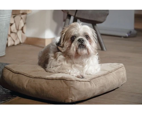 THERMOSWITCH Honden Ligkussen Milos M Bruin, 50x70x11 Cm 7 THERMOSWITCH Honden Ligkussen Milos M Bruin, 50x70x11 Cm - Afbeelding 5