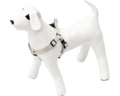 KARLIE Hondentuig Art Sportiv Plus Nylon Lichtgrijs 25 Mm, 40 - 70 Cm