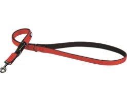 KARLIE Hondenriem Art Sportiv Premium Nylon Rood 25 Mm, 2 M