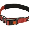 KARLIE Halsband Art Sportiv Premium Nylon Rood 25 Mm, 50 - 55 Cm -Hond Winkel DV 8 10451287 01 4c DE 20211030204219