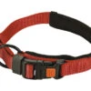 KARLIE Halsband Art Sportiv Premium Nylon Rood 20 Mm, 35 - 40 Cm -Hond Winkel DV 8 10451307 01 4c DE 20211030203412