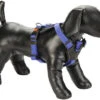 KARLIE Hondentuig Art Sportiv Premium Nylon Blauw 20 Mm, 34 - 48 Cm 1 KARLIE Hondentuig Art Sportiv Premium Nylon Blauw 20 Mm, 34 - 48 Cm -Hond Winkel DV 8 10451330 01 4c DE 20211030215513