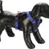 KARLIE Hondentuig Art Sportiv Premium Nylon Blauw 20 Mm, 45 - 57 Cm -Hond Winkel DV 8 10451333 01 4c DE 20211030220723