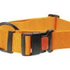 KARLIE Halsband Art Sportiv Plus Nylon Streep Oranje 40 Mm, 55 - 75 Cm -Hond Winkel DV 8 10451356 01 4c DE 20211030221821