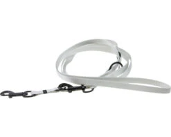 KARLIE Hondenriem Art Sportiv Plus Nylon Lichtgrijs 25 Mm, 2 M