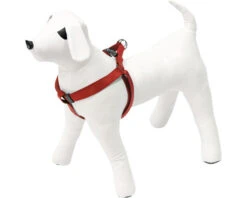 KARLIE Hondentuig Art Sportiv Plus Nylon Rood 25 Mm, 40 - 70 Cm