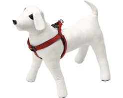 KARLIE Hondentuig Art Sportiv Plus Nylon Rood 25 Mm, 60-90 Cm