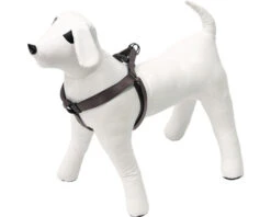 KARLIE Hondentuigje Art Sportiv Plus Grijs L 25 Mm