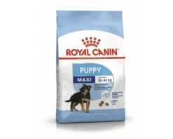 ROYAL CANIN Hondenvoer Maxi Puppy 15 Kg