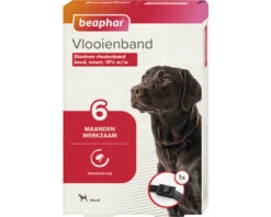 Beaphar Vlooienband, 6 Maanden, Hond, Zwart 1 St