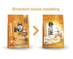 Hond Winkel -Hond Winkel DV 8 5774198 02 4c NL 20210506150155