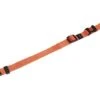 KARLIE Halsband Art Sportiv Nylon Oranje 15 Mm, 30 - 45 Cm -Hond Winkel DV 8 7272152 01 4c DE 20130322112044