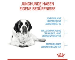 ROYAL CANIN Hondenvoer Giant Junior 15 Kg -Hond Winkel DV 8 7382173 14 4c DE 20221010114659