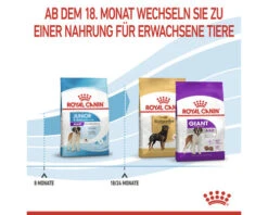 ROYAL CANIN Hondenvoer Giant Junior 15 Kg -Hond Winkel DV 8 7382173 17 4c DE 20221010114659